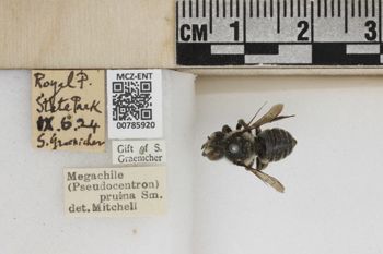 Media type: image;   Entomology 785920 Aspect: Labels